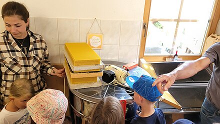 Kurze Bienenwachskunde